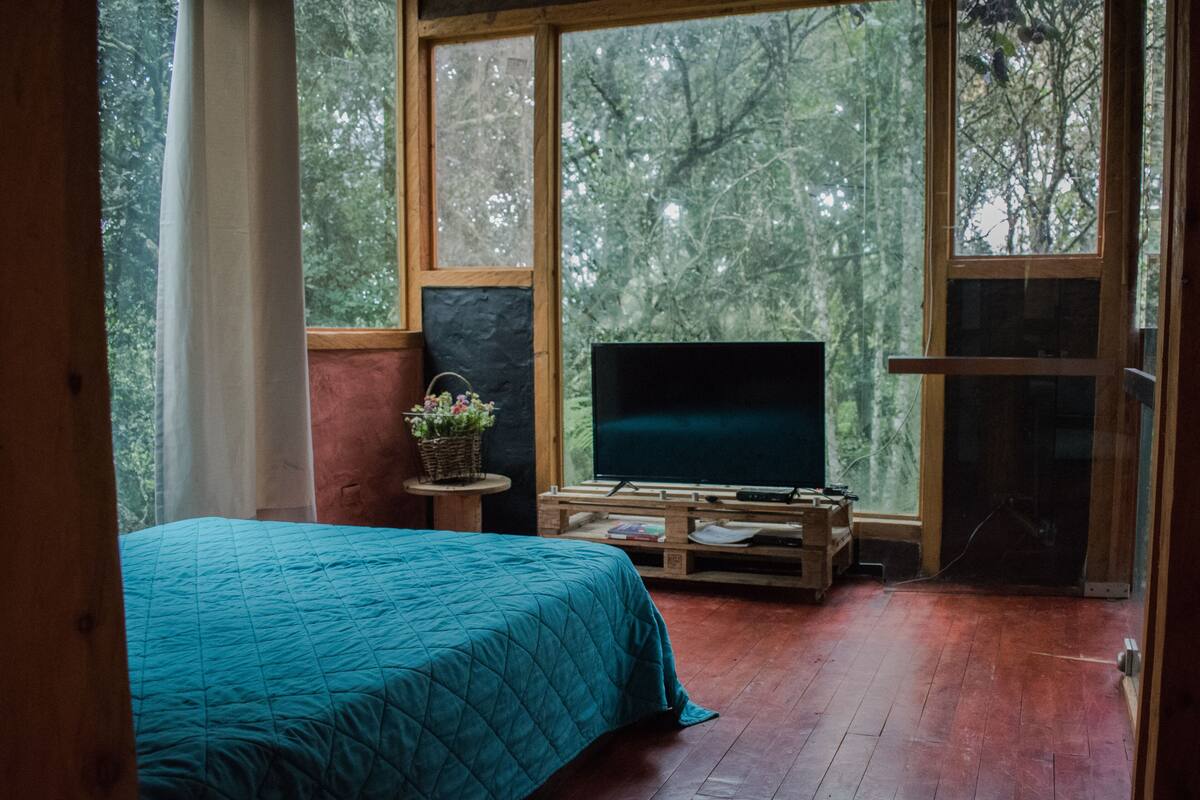 A bedroom with a bed, a television on a wooden stand, a small table with a basket of flowers, and large windows offering a view of trees.