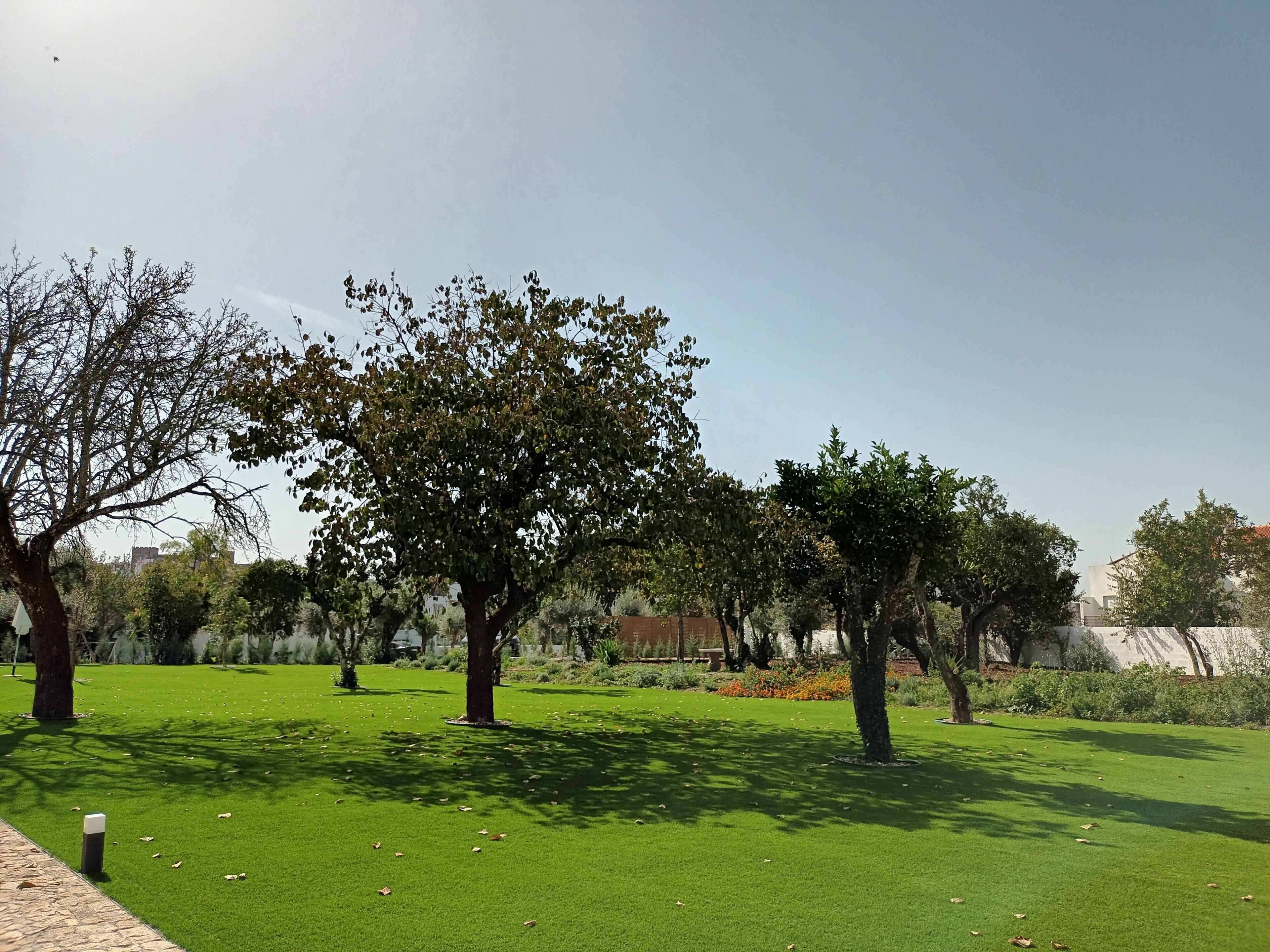 Foto - Portalegre Palace