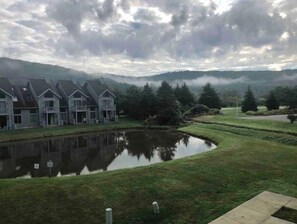 Unclassified image, 4 of 31, button