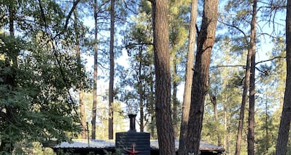 Pine Country Cabin -walking distance to town!