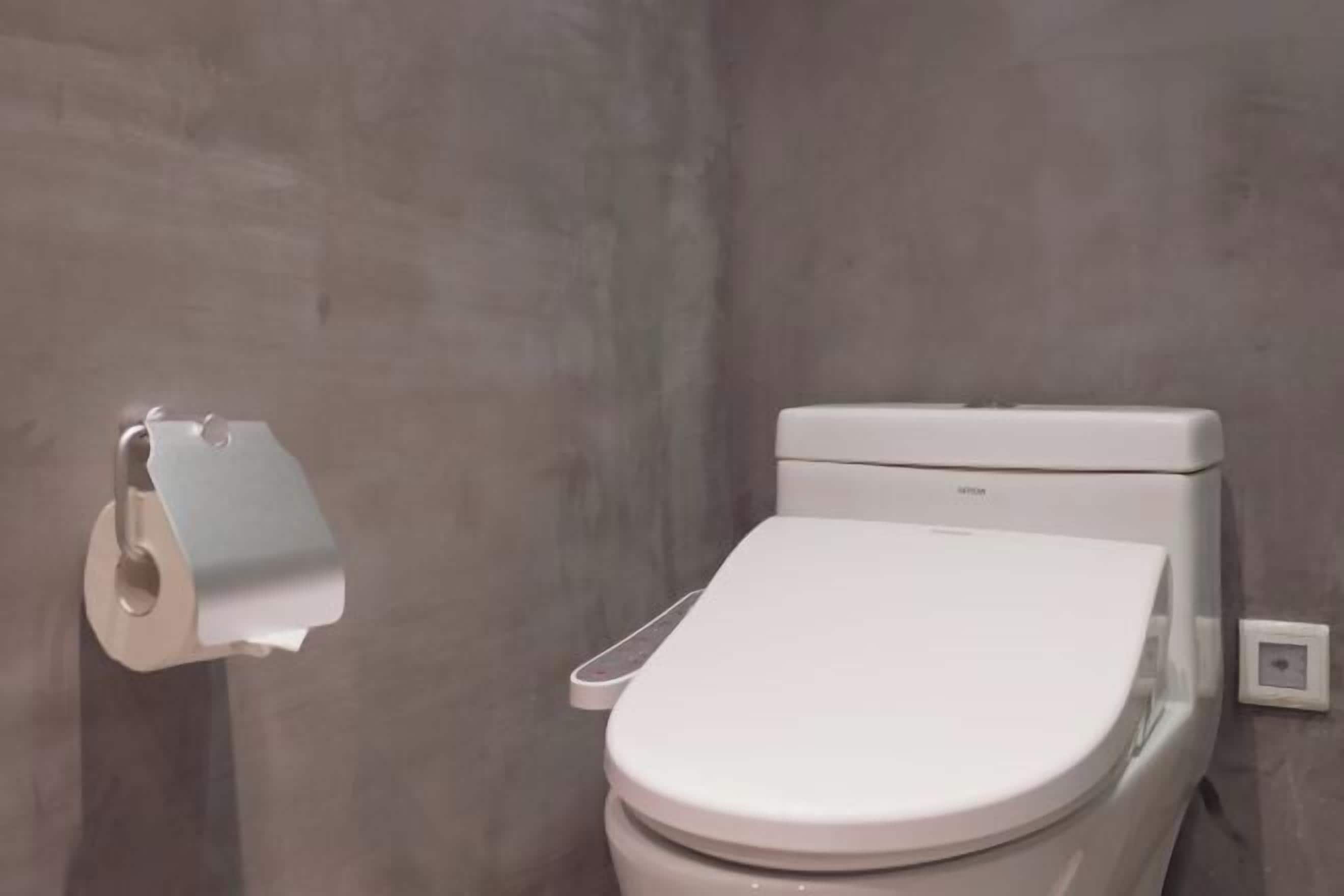 A toilet with a white lid and tank, a toilet paper holder on the wall, and a plain wall.