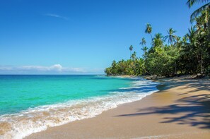 Nära stranden