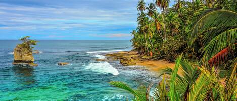 بالقرب من الشاطئ