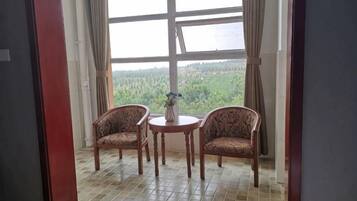Een kamer met een groot raam, twee gestreepe stoelen, een tafeltje en een vaas.