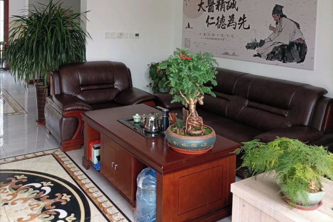 Un soggiorno con un divano in pelle marrone, un tavolino in legno con un bonsai e una pianta in vaso su un tavolino laterale.