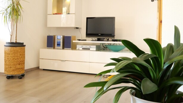 Una sala de estar moderna con piso de madera, muebles blancos, un televisor de pantalla plana y plantas en macetas.