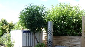 Un jardín con una parrilla, asientos y una valla de madera.