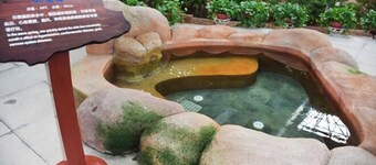 Luxinan Hot Spring Hotel