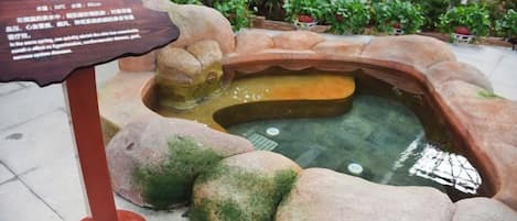 A small pond with a stone border, surrounded by rocks and plants, and a sign with text.
