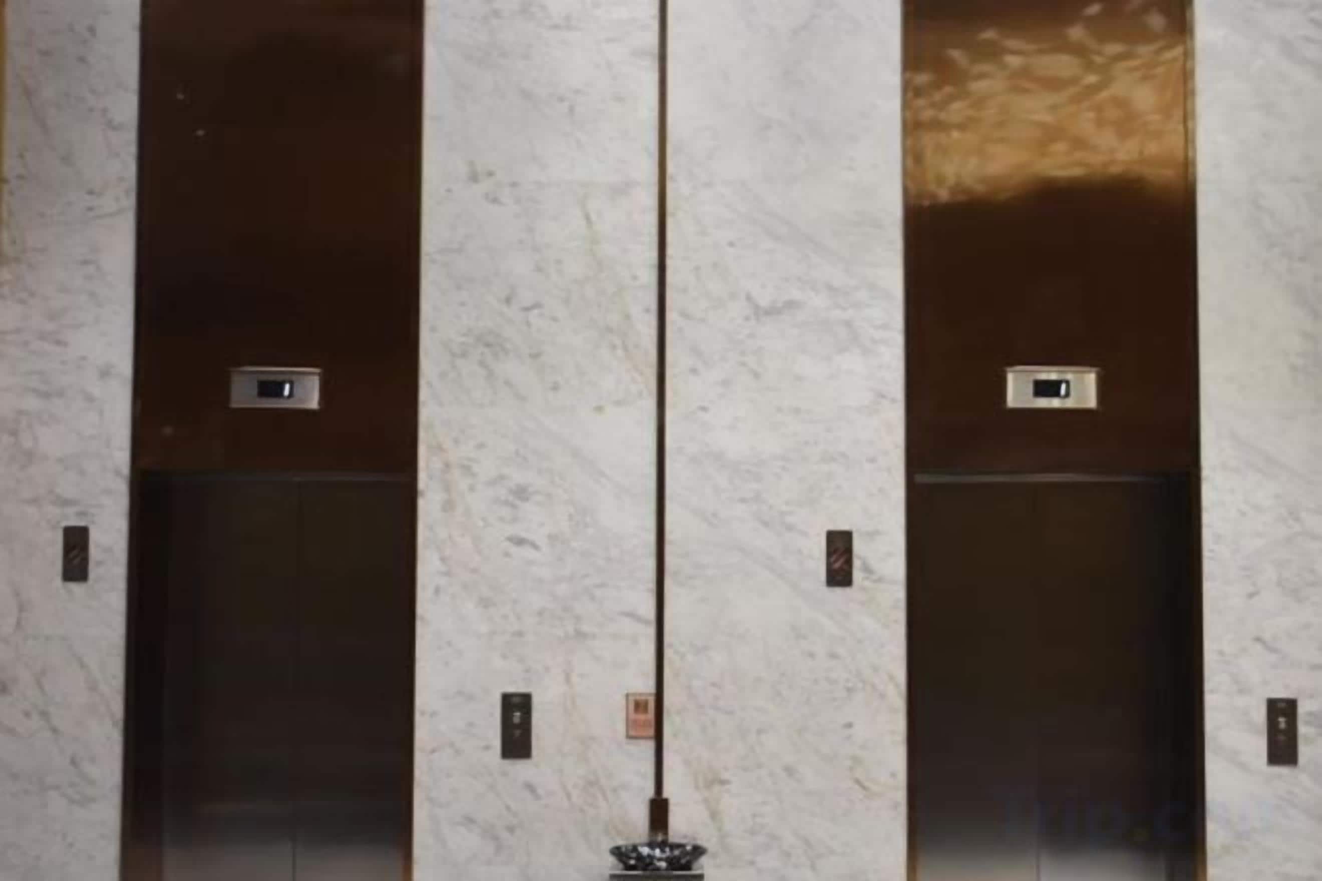 Conjunto de puertas de ascensor con una pared de mármol y un accesorio de iluminación vertical.