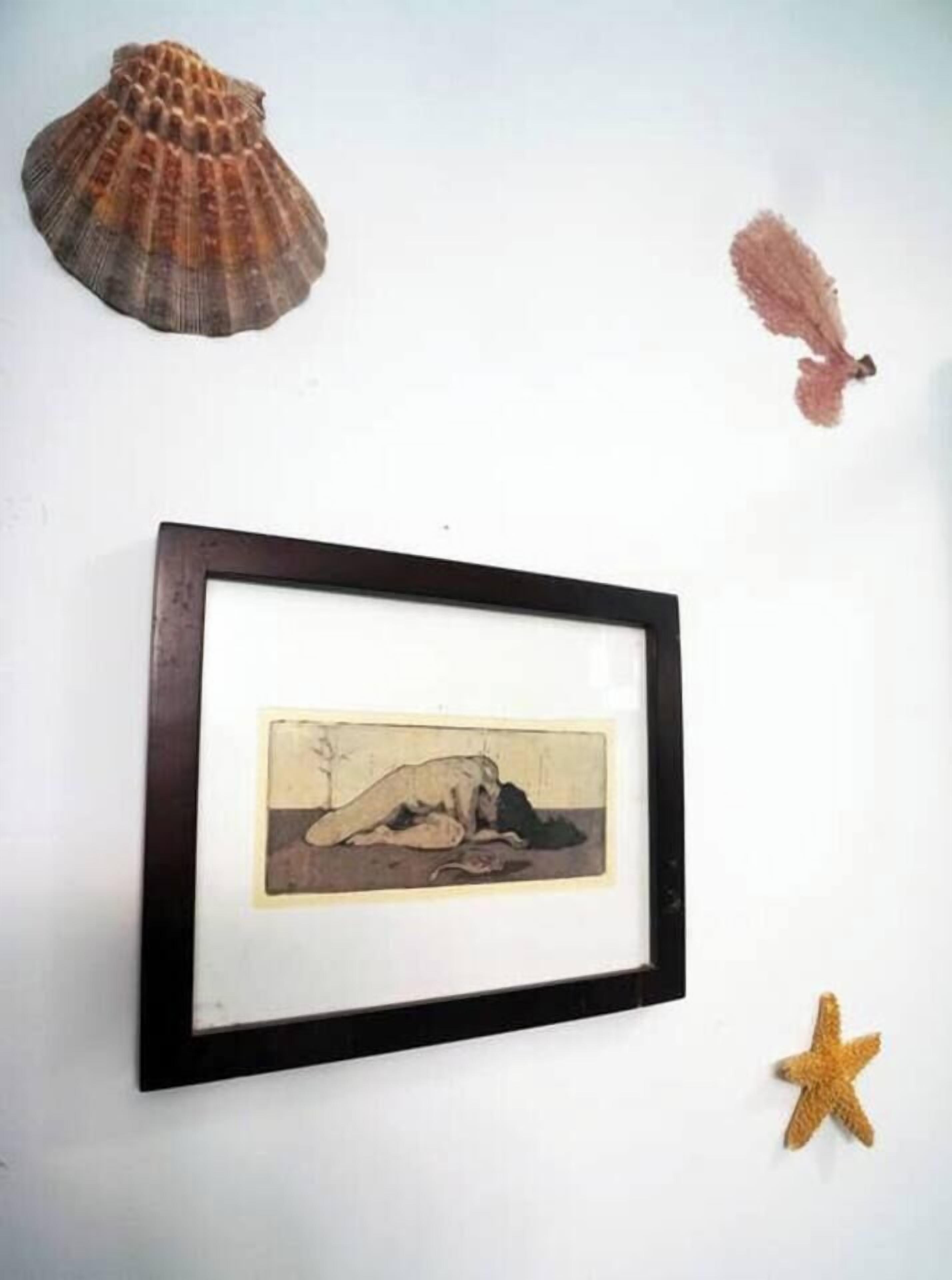 Una obra de arte enmarco, una concha marina y una estrella de mar sobre una pared blanca.
