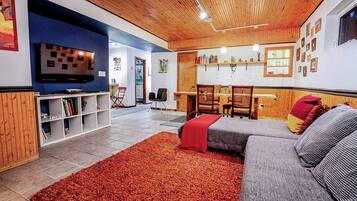 Smart TV, fireplace, books