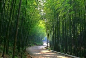 Miscellaneous - Vienna Hotel (Yixing High-speed Railway Station) (Yixing)