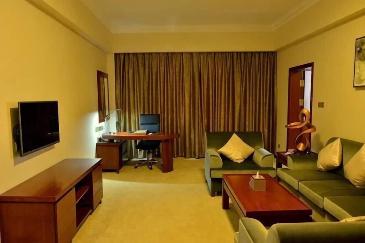 Une chambre d’hôtel équipée d’une télévision, d’un bureau, d’un canapé vert, d’une table basse et d’un rideau.