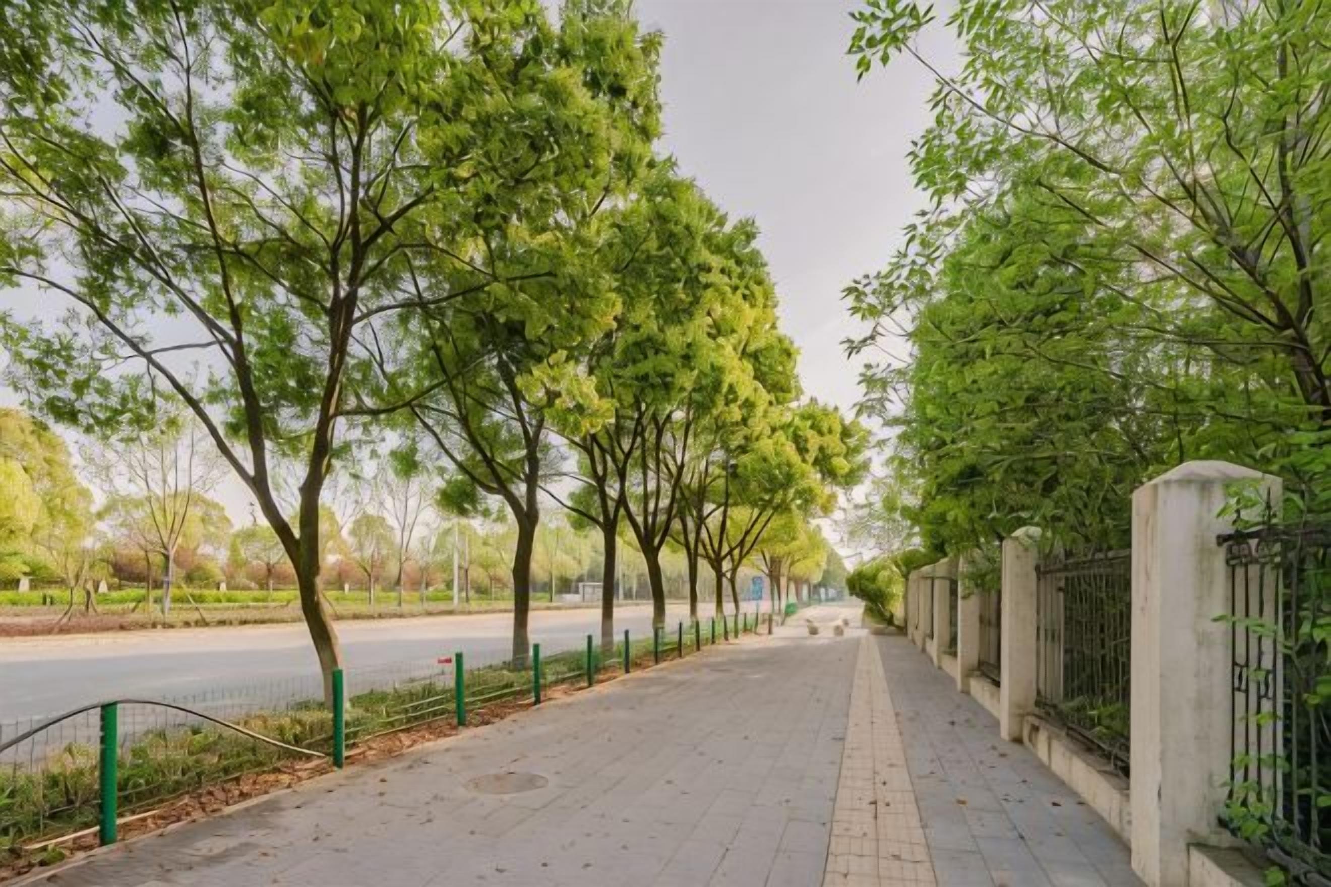 Un sendero bordeado de árboles con superficie pavimentada, una valla metálica y un muro de concreto.