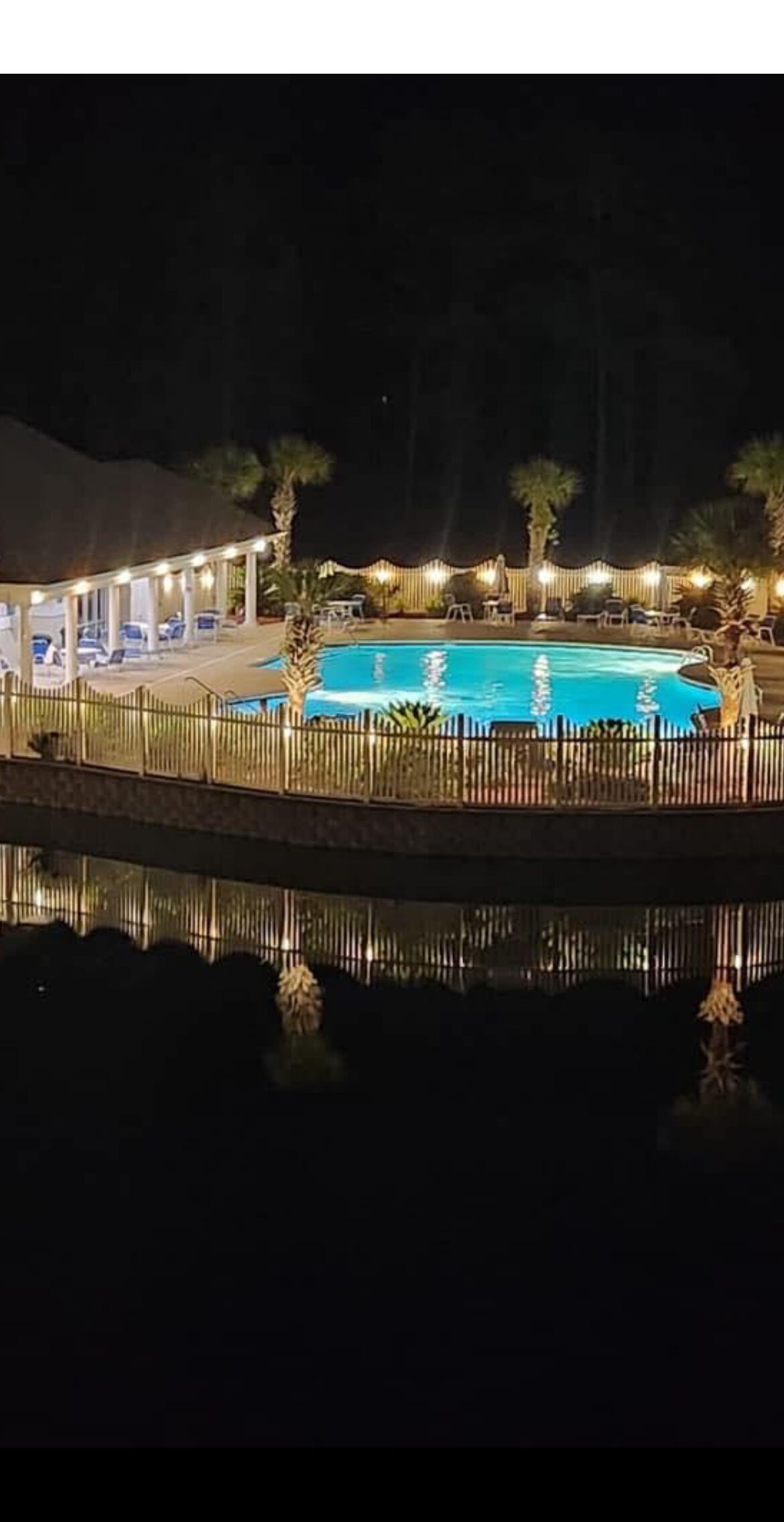 A nighttime view of a swimming pool area with a covered seating area and palm trees.