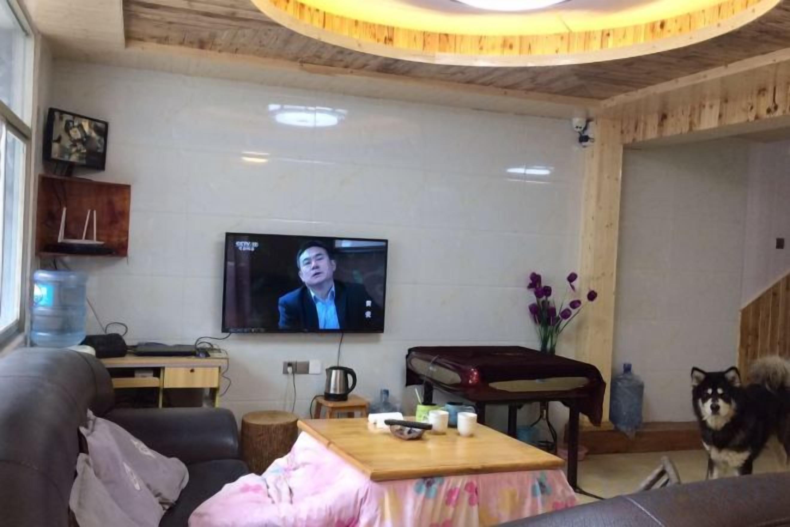 Un salon avec une télévision, un canapé, une table basse et un chien.