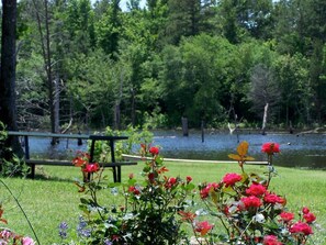 Property grounds - Treehouse: Romantic Hideaway on Private Lake (Pittsburg)