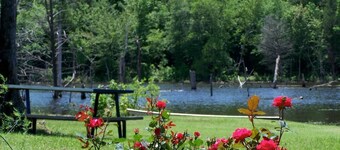 Treehouse: Romantic Hideaway on Private Lake