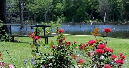 Treehouse: Romantic Hideaway on Private Lake