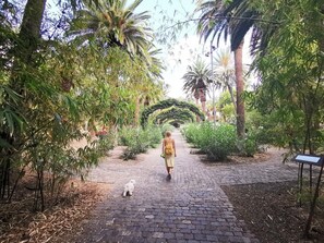 Jardines del alojamiento