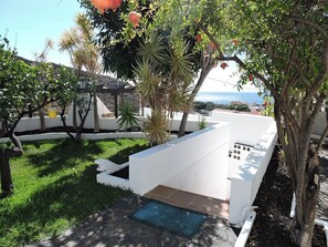 Un espace extérieur moderne doté d’une structure blanche, d’une petite piscine et de diverses plantes.