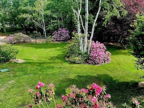 En välskött trädgård med ett stort utbud av blommande växter och träd.