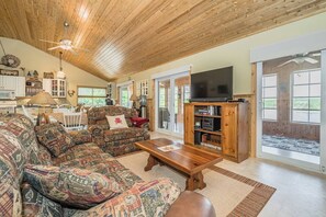 TV connectée, cheminée, lecteur de DVD