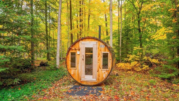 A wooden cabin in a forest.