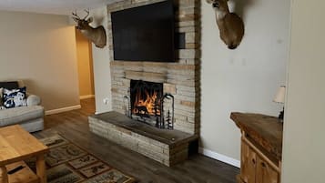 Smart TV, fireplace, books