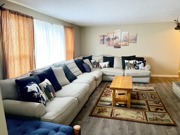 Smart TV, fireplace, books