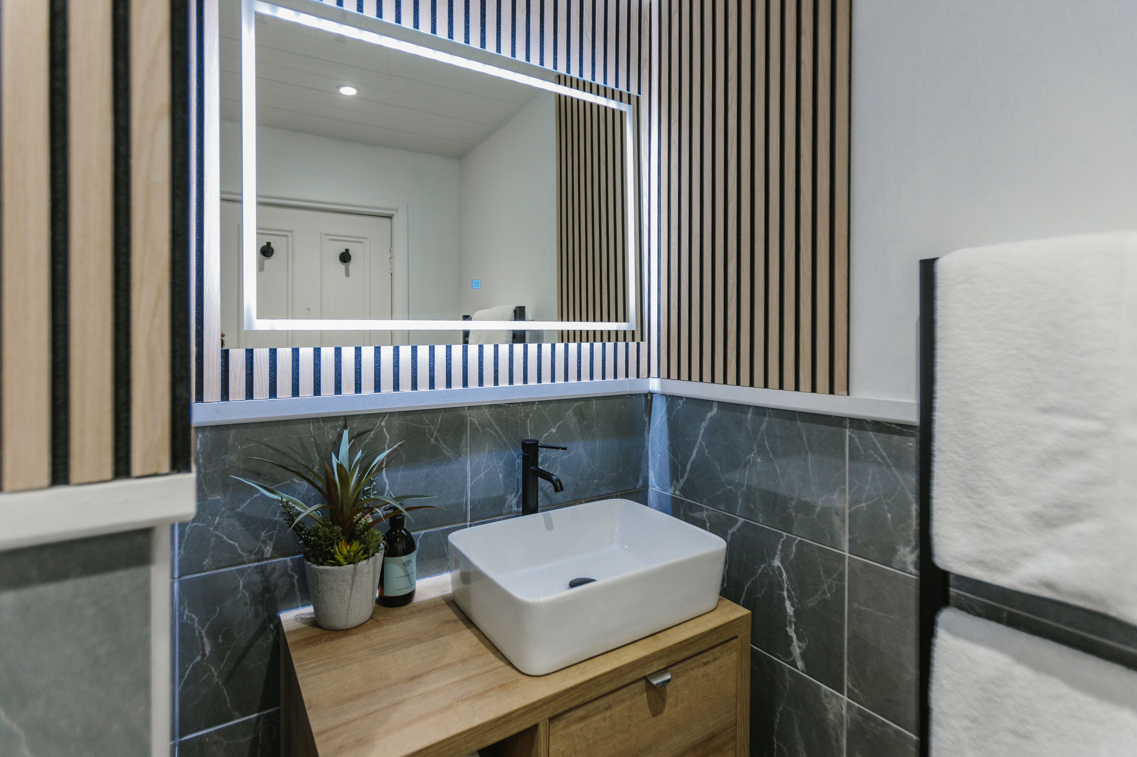 A bathroom with a white sink, a mirror, and a potted plant.