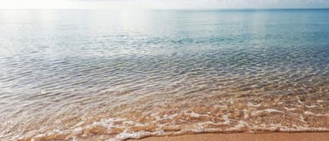 On the beach, beach umbrellas, beach towels, kayaking