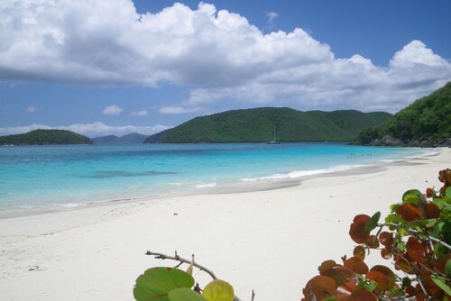 Westin St. John - Coral Vista - 2nd Floor Oceanfront Fixed Unit--2 Bedroom/2Bath