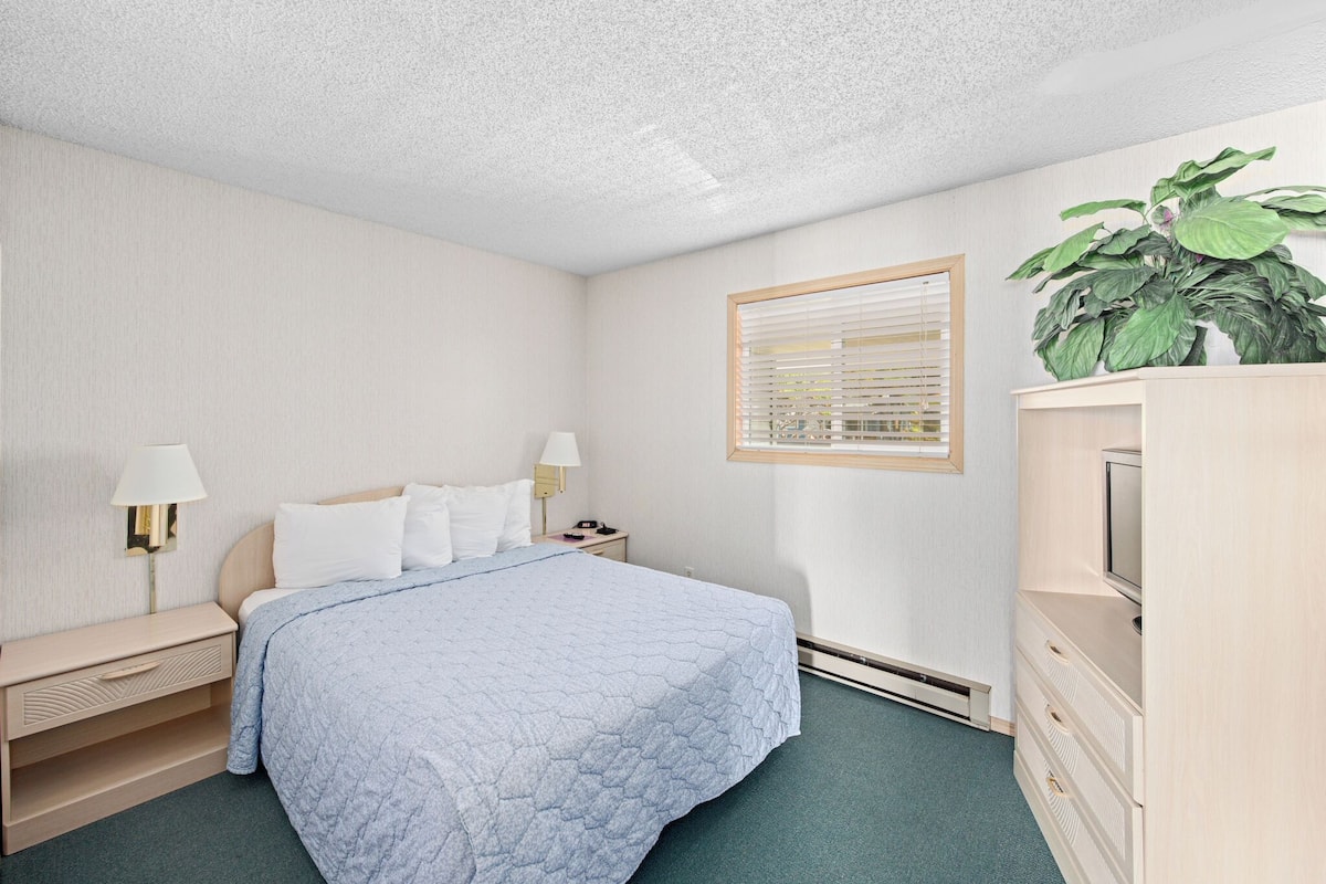 Une chambre d’hôtel avec un lit, des tables de chevet, une lampe, une plante et un téléviseur posé sur une commode.
