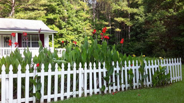 Uma cerca branca de piquete com flores vermelhas em frente a uma casa com varanda.