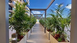 Un couloir au sol en bois, bordé de jardinières contenant différentes plantes.