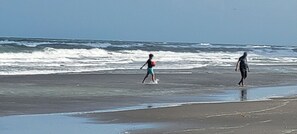 Une plage où deux personnes se promènent le long du rivage.