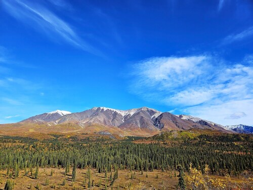 National Park Stay: Premium comfort in Alaska's wilds. Hiking, lakes, tranquility. Pets OK!