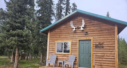 Mountain Spruce Cabin