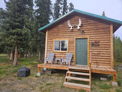 National Park Stay: Immerse yourself in Alaska's biggest park with modern comforts and no crowds. Family-friendly, pets OK!