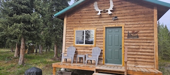 National Park Stay: Immerse yourself in Alaska's biggest park with modern comforts and no crowds. Family-friendly, pets OK!