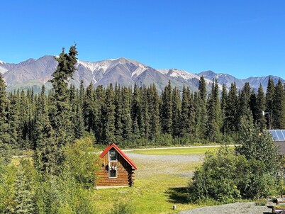 National Park Stay: Immerse yourself in Alaska's biggest park with modern comforts and no crowds. Family-friendly, pets OK!