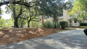 Property grounds - Modern luxury 1BR Suite with low country living (Charleston)