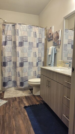 Combined shower/bathtub - Modern luxury 1BR Suite with low country living (Charleston)