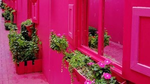 Eine Reihe von Gebäuden in leuchtendem Rosa, deren Fenster mit Grünpflanzen und Blumen geschmückt sind.