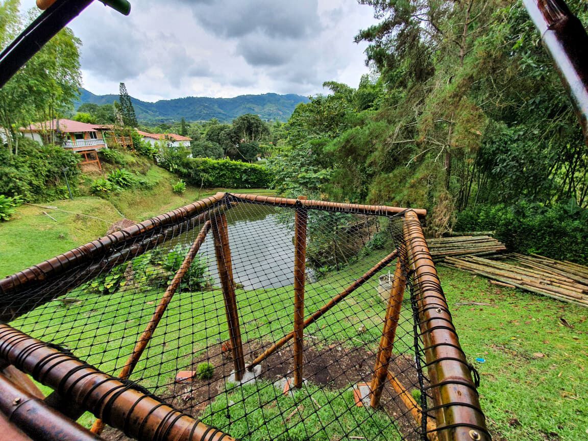 A bamboo structure with a netted enclosure, surrounded by lush greenery and a small pond.