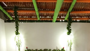 Een netjes opgemaakt bed met witte lakens en bruine kussens, een houten hoofdbord met hangplanten, en een houten vloer.