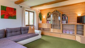 Fernseher