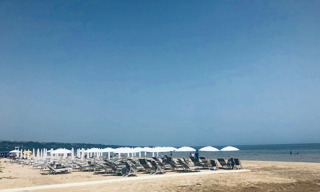 A beach with rows of sun loungers and white umbrellas, a clear sky, and the sea in the background.